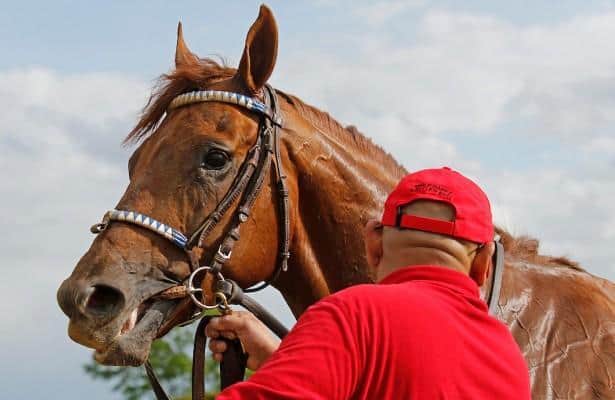 Rattle N Roll is back for rematch vs. Hit Show in Blame Stakes
