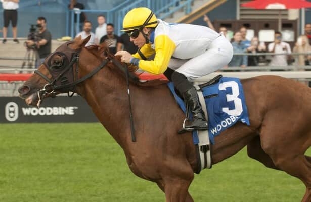 Woodbine: Wilson guides Ready for the Lady to Singspiel win