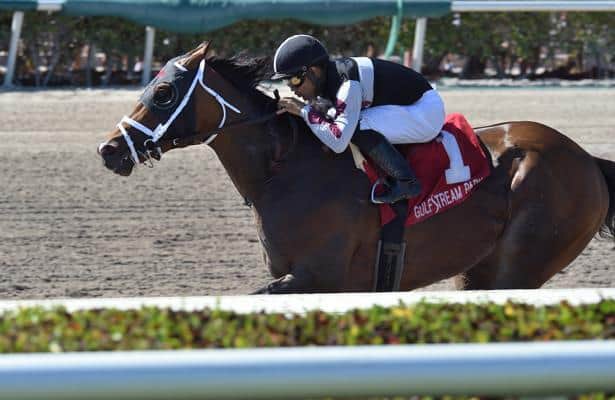 Recruiting Ready, Firenze Fire meet in Belmont's Runhappy Stakes