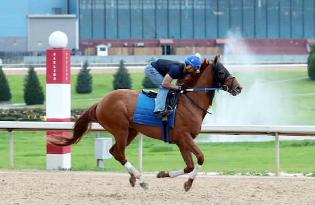 Red Route One posts final breeze before Belmont Stakes 2023