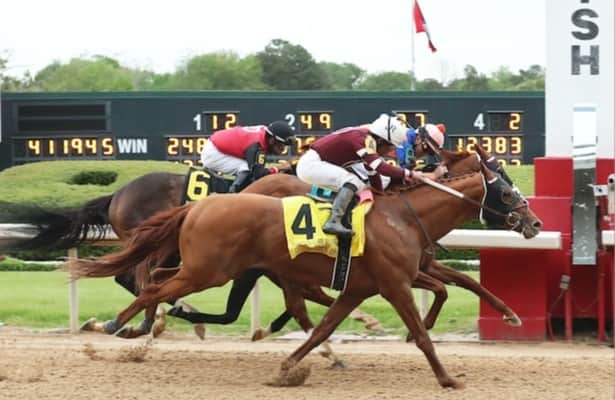 Belmont Stakes 2023: Red Route One posts 1st local breeze