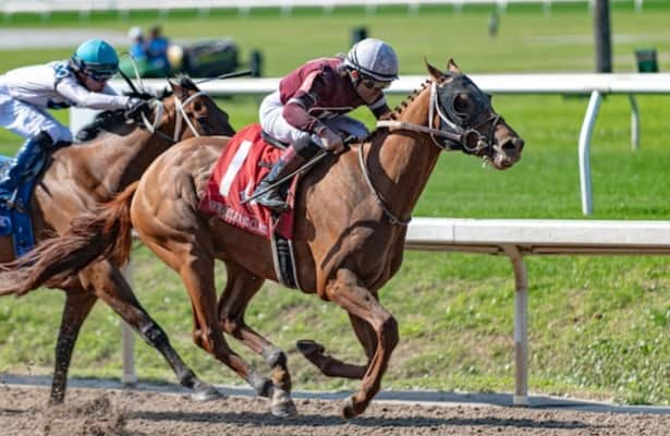 Zipse: Red Route One has earned title of America’s horse