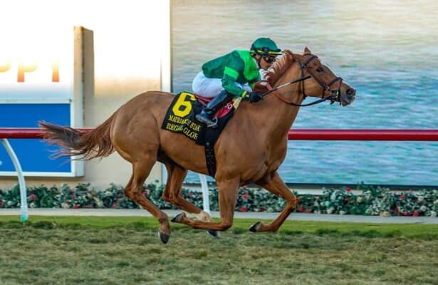 Regal Glory scores in Matriarch, gets her first Grade 1 win
