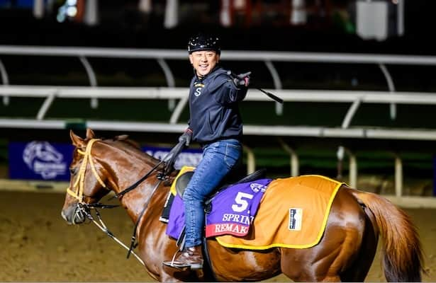 What Japan connections say about Breeders’ Cup chances