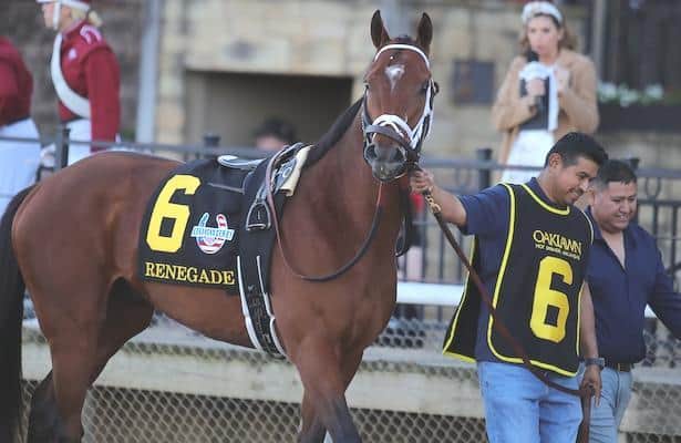 Zipse: Classy victories for Burnham Square and Renegade