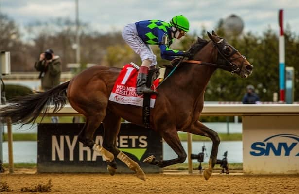 Resilience is possible for Belmont Stakes pending weekend work