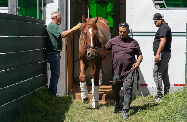Saratoga 2022: Reed looks for Rich Strike redemption in Travers