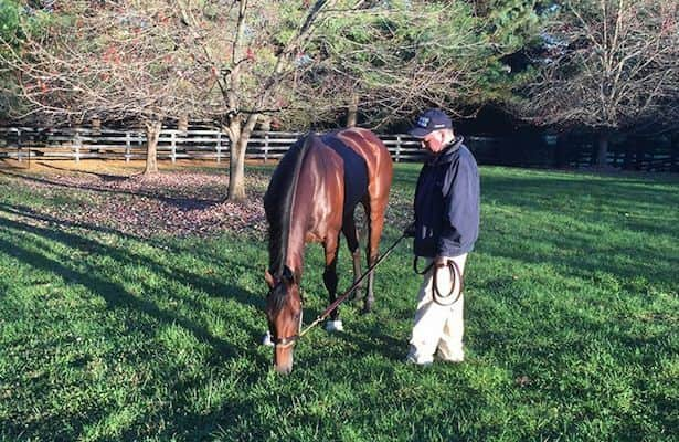 Report: Barry will retire as Ashford Stud stallion manager