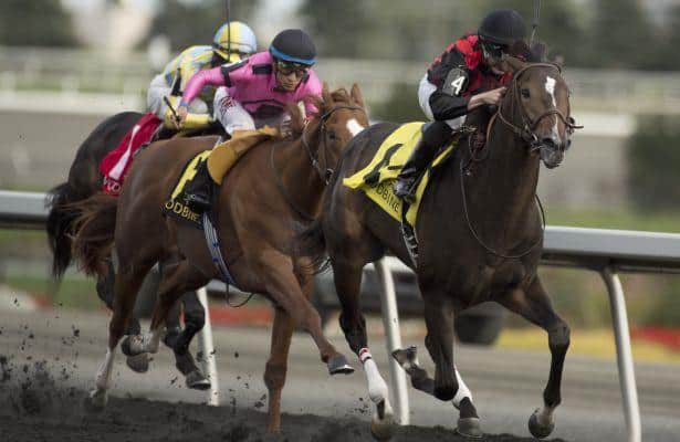 Riker Targets BC Juvenile After Grey Stakes Victory