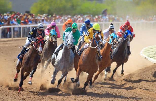 Rillito Race Track launches Equine Wellness Program for new meet
