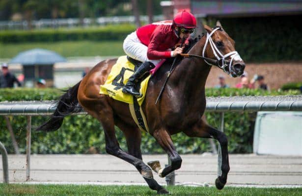 Overwhelming favorite River Boyne comfortably captures Rainbow Stakes 