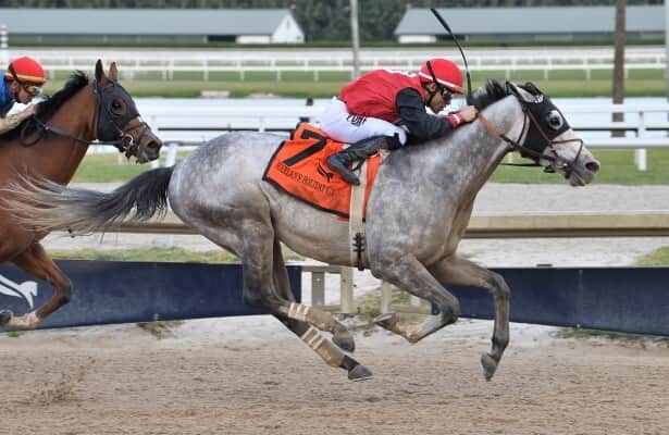 Gulfstream: Rocket Can turns back to mile for Fred W. Hooper