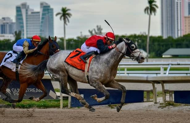 Speed figures: These are last week’s fastest stakes winners