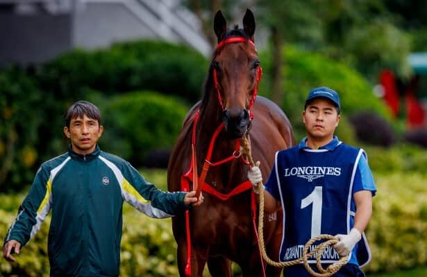 Saudi Cup: 7-year-old Romantic Warrior is still improving