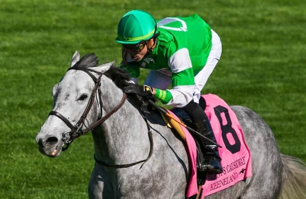 Roses for Debra sells for .4 million to lead Keeneland sale