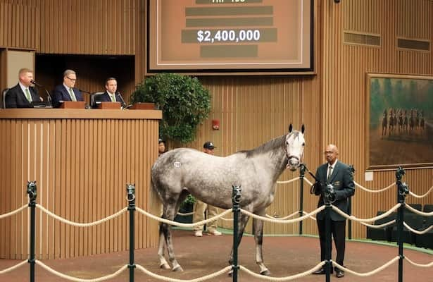 Keeneland posts strong results for breeding-stock sale