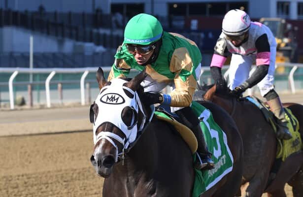Aqueduct: Rotknee cruises to first stakes win in Damon Runyon