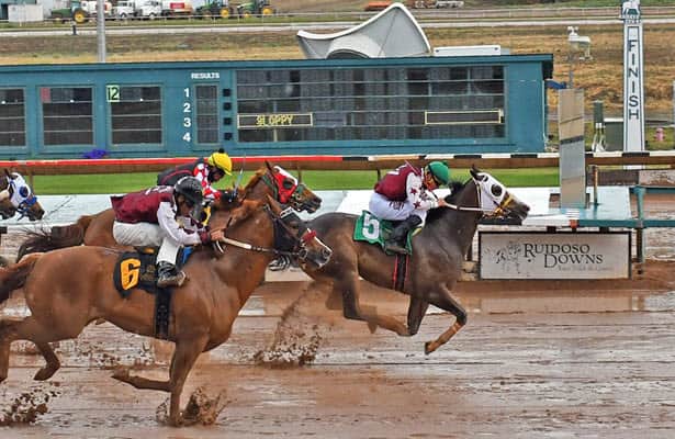 Report: New Mexico racing commission requires more vet checks