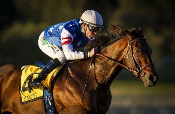 Mattress Mack' to place biggest bet in Kentucky Derby history, Betting