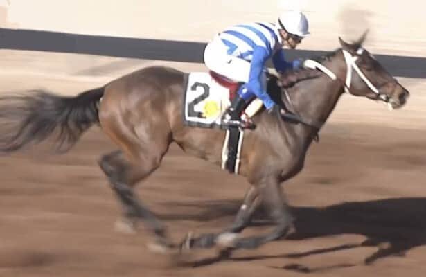 Asmussen exacta: Runnin N Gunnin wins Sunland Oaks