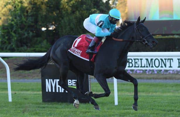 Rymska collars stablemate New Money Honey in Athenia Stakes