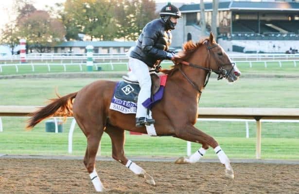 Sally's Curlin looks to rebound from Breeders' Cup in Rampart Stakes