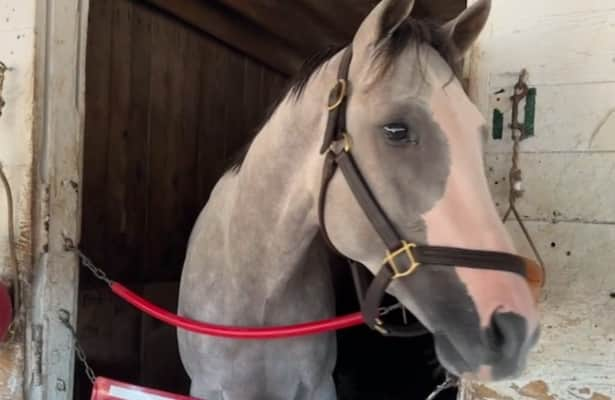 Barn Tour: Casse updates on Sandman + 15 others