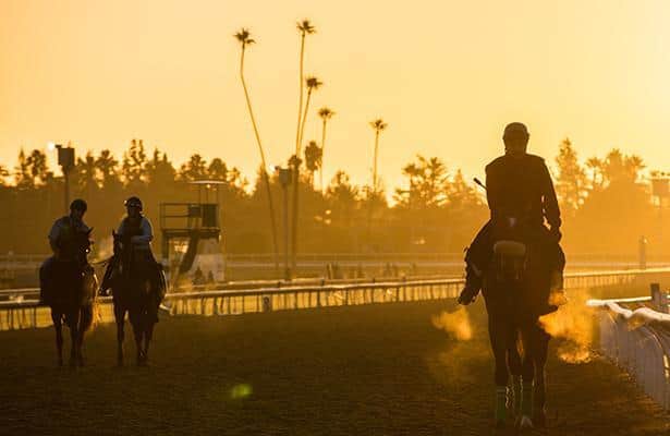 2013 Breeders' Cup: Wednesday Morning Eye-Catchers