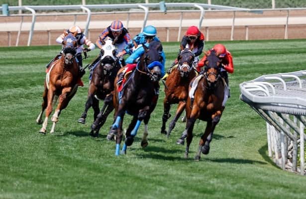 Partnership Links Stakes At Santa Anita UK Tracks Partnership Links Stakes At Santa Anita UK Tracks