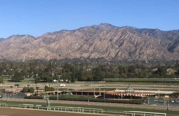 Midland: Cal Cup stakes bring value to Santa Anita turf Pick 3