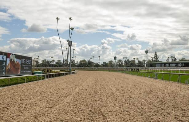 Santa Anita will start racing on synthetic track this winter