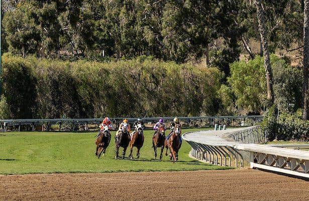 Santa Anita has new protocols for downhill turf course