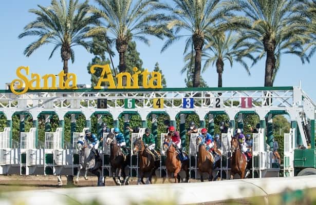 First Look: 20 graded stakes, 9 Breeders' Cup qualifiers on tap