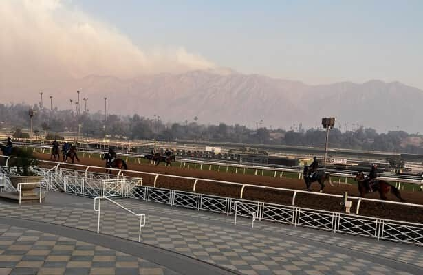 Flatter: For Santa Anita, there is more than thoughts & prayers