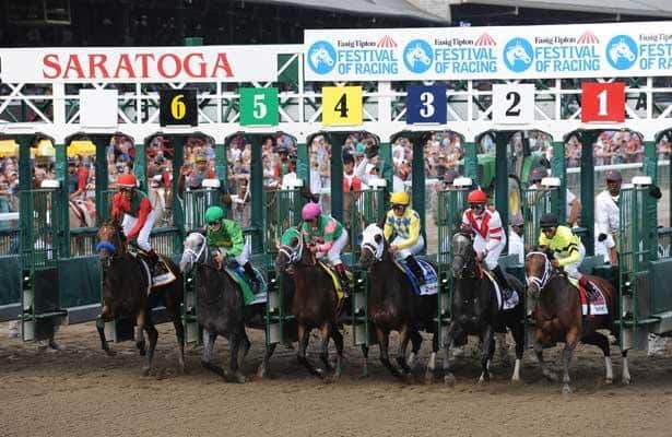 Saratoga Strong Out of the Gate Saratoga Strong Out of the Gate