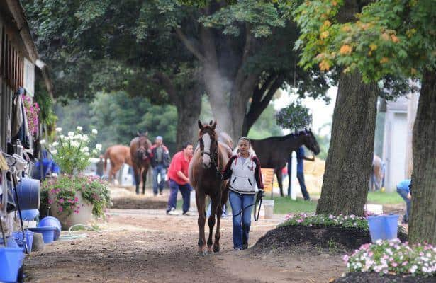 Reports: Effort advances to unionize N.Y. backstretch workers