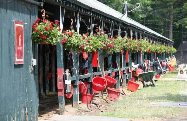 saratoga pick 5 today