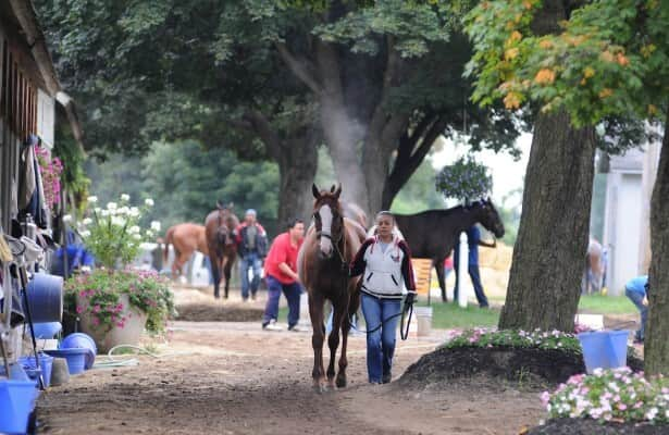 Report: 2024 sees 4% fewer Thoroughbred trainers