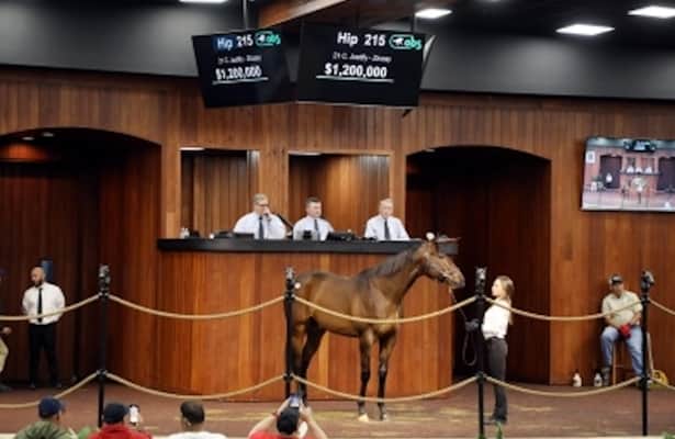 Justify colt sells for $1.2 million at Ocala 2-year-olds sale
