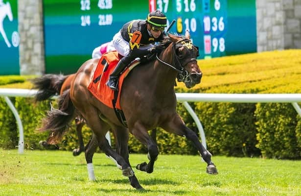 Barn Tour: Ward updates on 4 headed for Ascot + 9 others