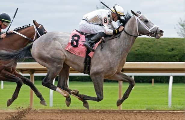 Horse Racing Nation expert picks: Pennsylvania Derby