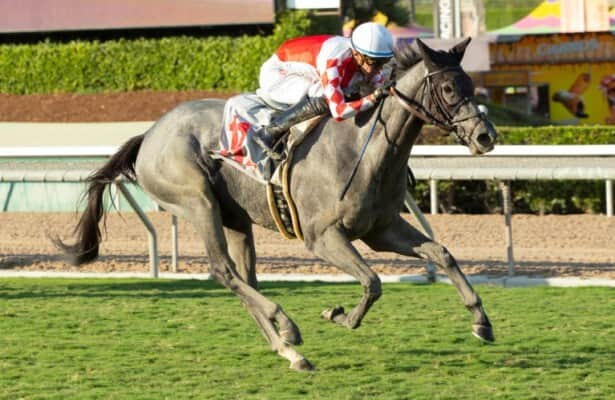 Santa Anita Sunday: Schilflied may enjoy cutback in Sweet Life