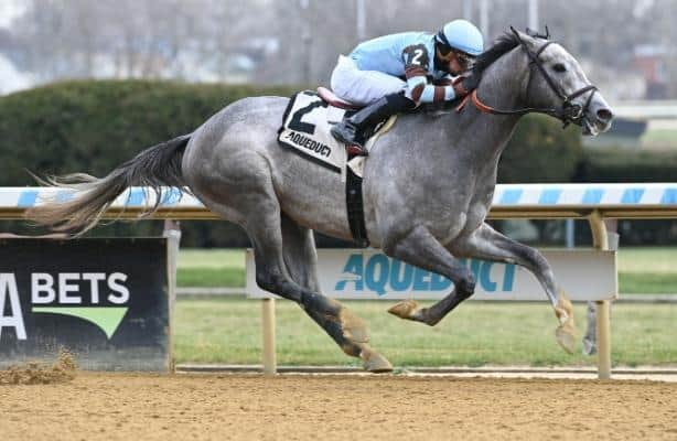 Pegasus Stakes: Odds and analysis for Haskell prep