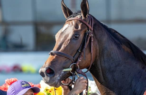 Scottish Lassie gives Abreu best chance yet in Breeders’ Cup