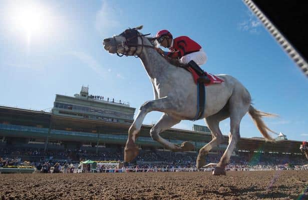 Scuba returns to the winner's circle in Hawthorne Gold Cup