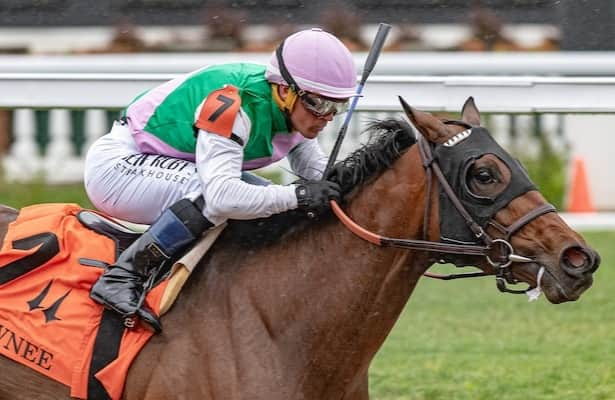 Scylla takes the next step up in class in Fleur de Lis