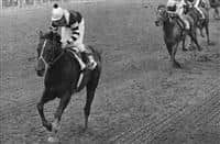  Seattle  Slew Horse