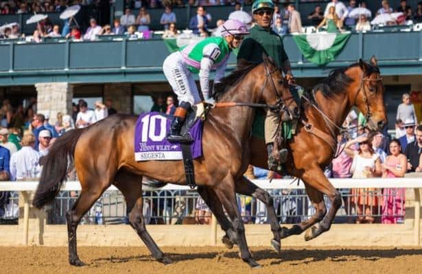 Diana odds and analysis: Brown enters 4 in pursuit of 11th win