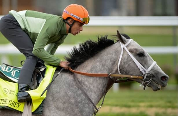 Belmont Stakes odds: Seize the Grey is early favorite