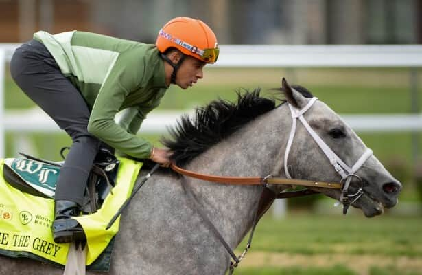 Seize the Grey bullet is 1 of 23 workouts from graded winners